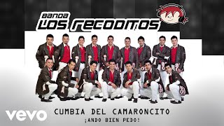 Banda Los Recoditos - Cumbia Del Camaroncito (Animated Video)