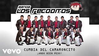 Video thumbnail of "Banda Los Recoditos - Cumbia Del Camaroncito (Animated Video)"