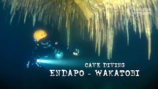 Download Lagu Wakatobi Cave Diving : Endapo fresh water cave with Wakatobi Dive Adventure, Wakatobi - Indonesia MP3
