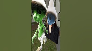 Rosalia Smurf cat AND Smurf cat  chase me ¡¡¡  Nextbot (gmod)