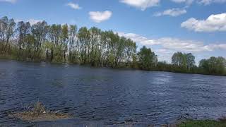 Новгород-Северский, Река Десна В Разливе. Май 2021 Год.