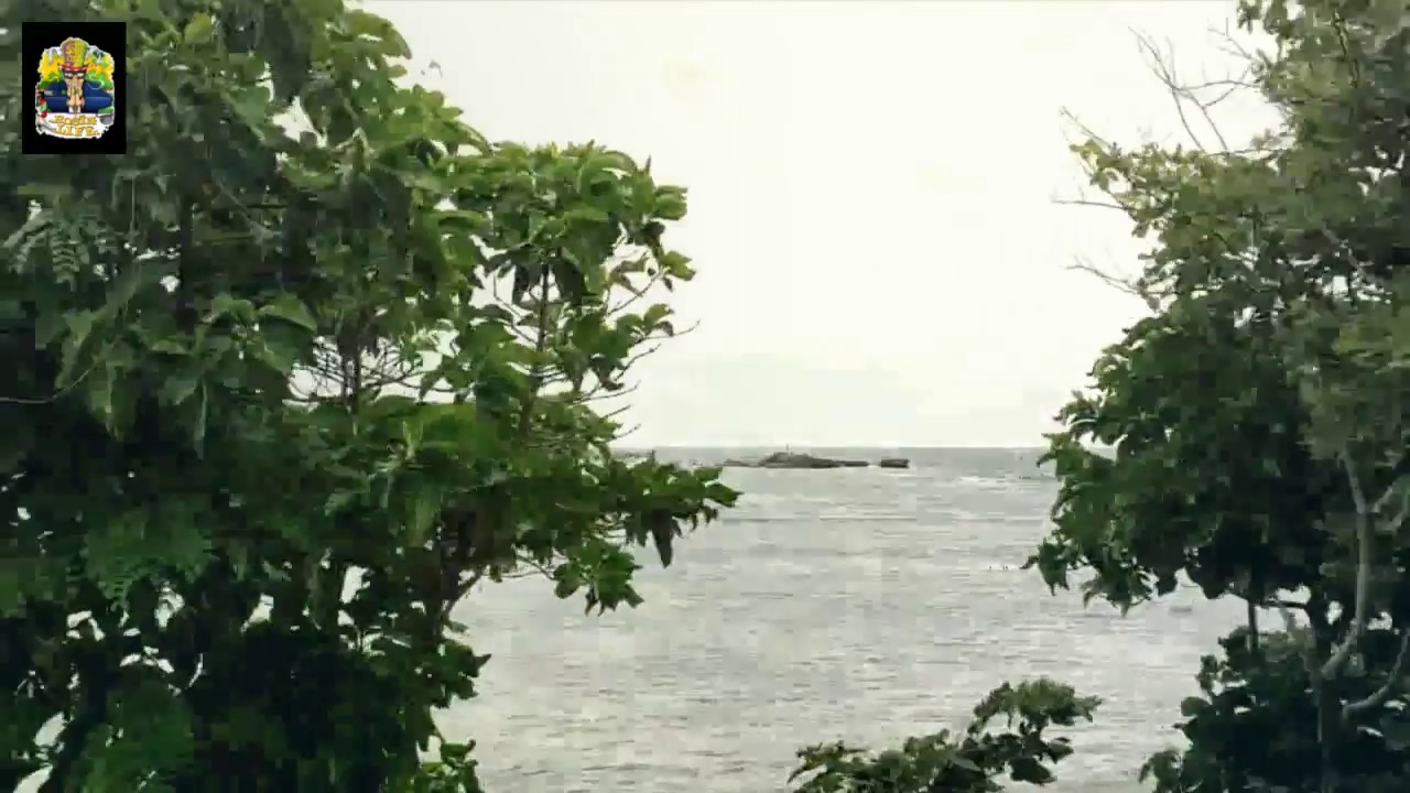 Uncle Stoner visits cannabis grows in Jamaica