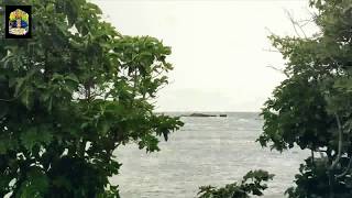 Uncle Stoner visits cannabis grows in Jamaica