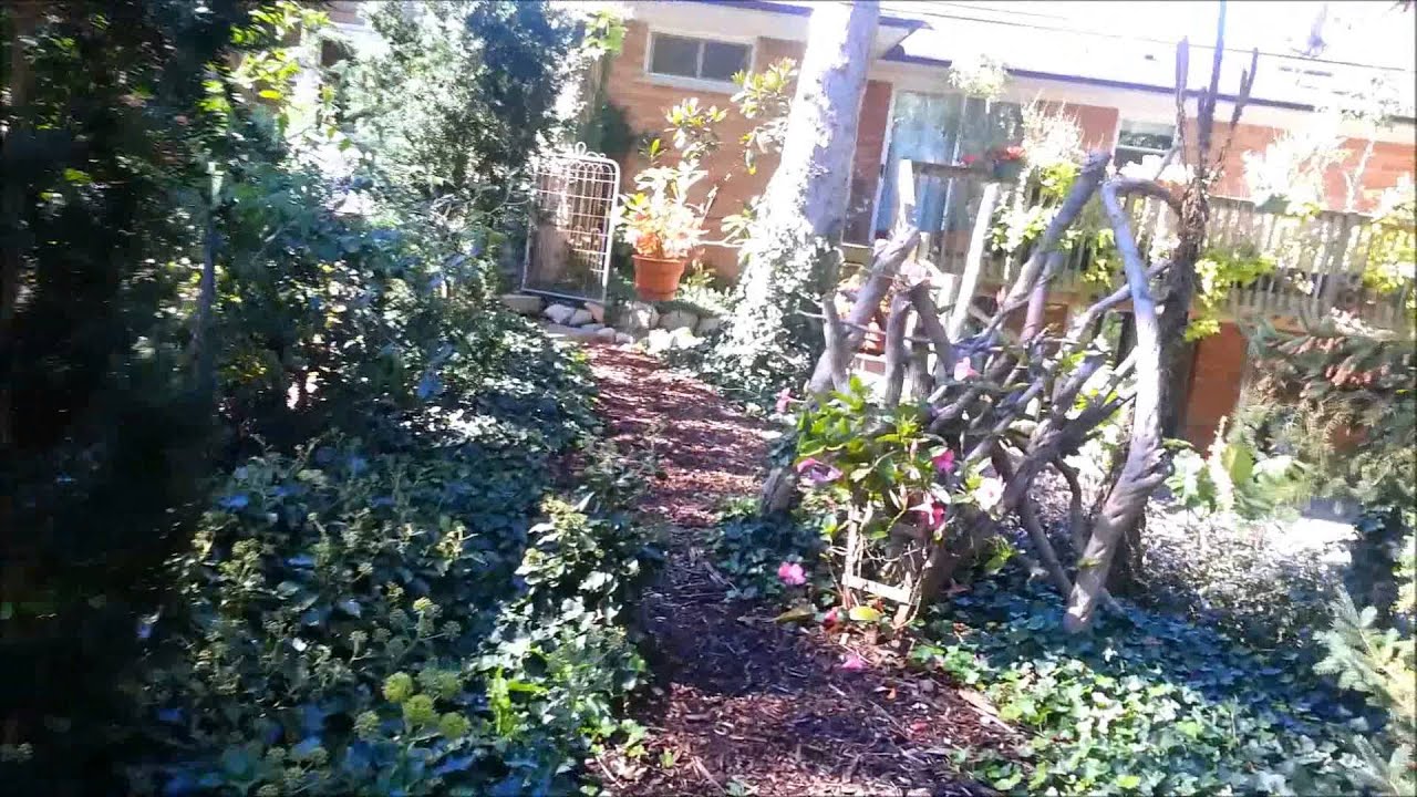 Jim's Garden Lake Orion MI 10082013 YouTube