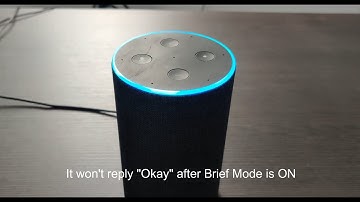 Alexa - How to turn ON and Off Brief mode (2 methods)