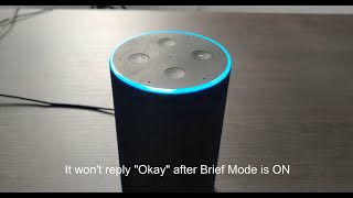 Alexa - How to turn ON and Off Brief mode 2 methods
