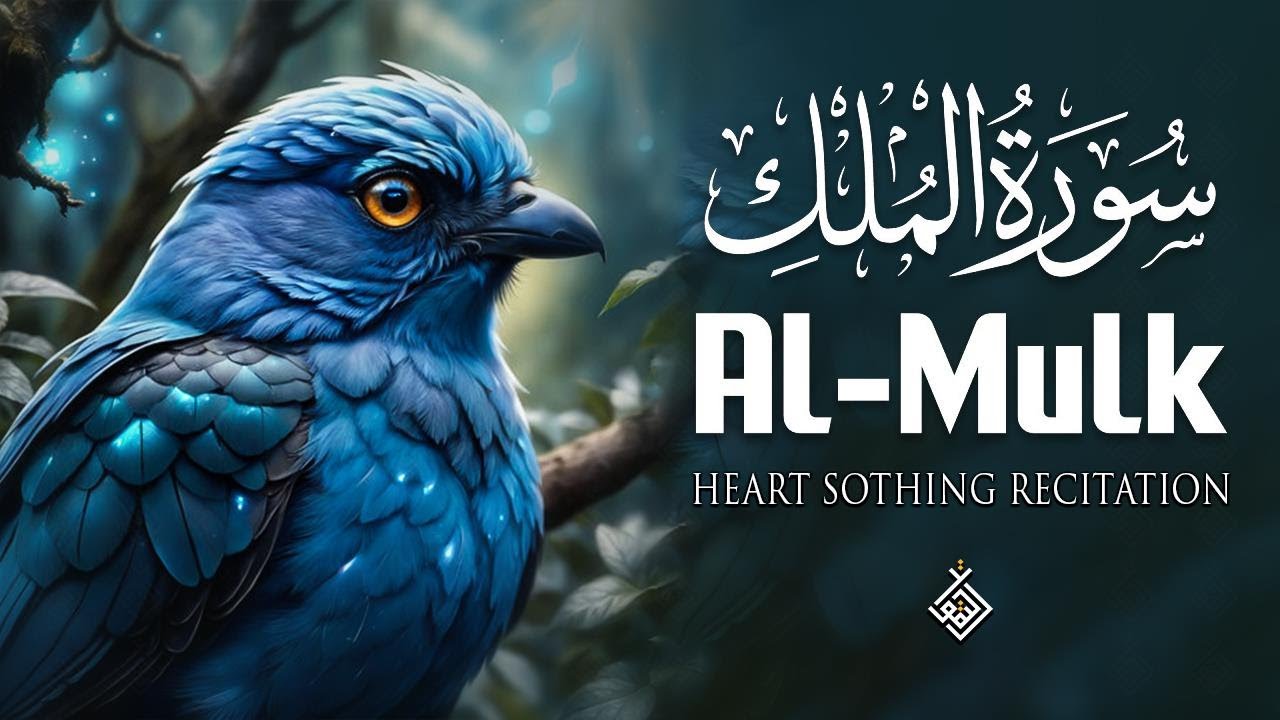 Surah Al Mulk سورة الملك | Calm Your Thoughts with This Soft, Tranquil Tilawah | Al-Taqwa TV