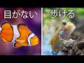 世界で最も奇妙なペットの魚を7種類手に入れた…