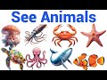 Sea Animals for Kids 🐬 Learn Ocean Animals Names with picture | kids vocabulary 