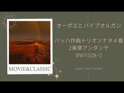 バッハを頂点とするオルガン音楽発達史 バッハを頂点とするオルガン音楽発達史