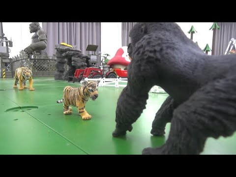 Tiger saves <strong>cubs</strong>