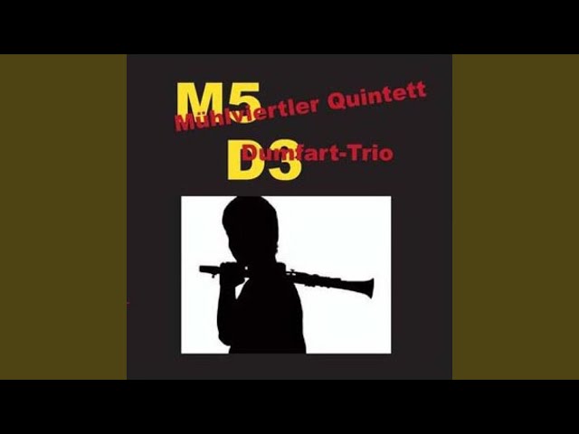 DUMFART TRIO - Am Hümmi steht a Weda