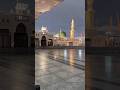 Hara Gummbad Madinasharif Madinah Love Beautiful Viralvideo Islamiclove