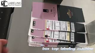 Carton Box Paging Labeling Machine | Sticker Flat Applicator Plane Paging Labeling Machine