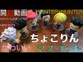 ちょこりんマスコット開封動画（ハンターハンター）