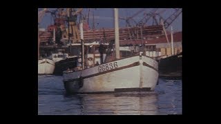 Göteborgs Fiskhamn 1970