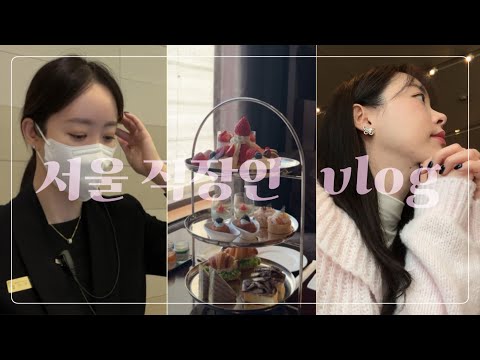 [일상volg] 치과위생사 | 직장인브이로그 | 신라호텔 에프터눈티 |한남동 감자탕 | 월화고기 | 베러댄커피 | 춘천 통나무집닭갈비 | 조안사계절 찐빵 만두