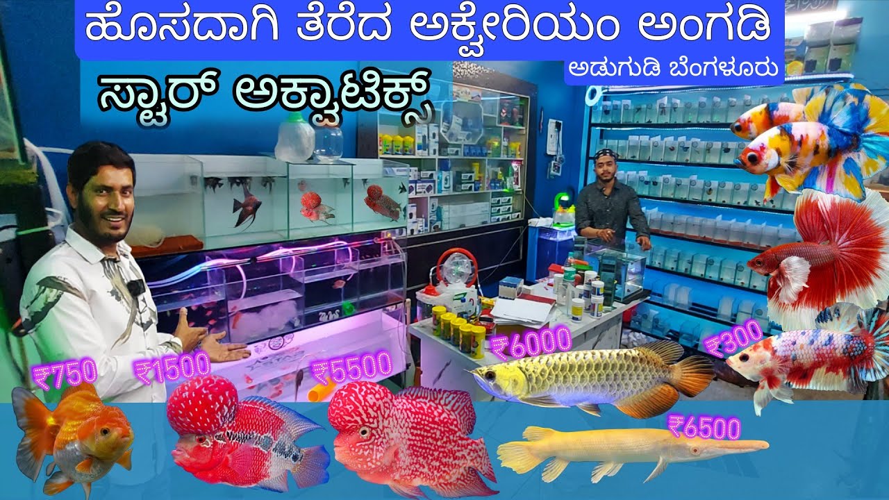 Star Aquatics ಬೆಂಗಳೂರಿನಲ್ಲಿ ಹೊಸದಾಗಿ ತೆರೆಯಲಾದ ಅಕ್ವೇರಿಯಂ ಅಂಗಡಿ ಆಡುಗೋಡಿ