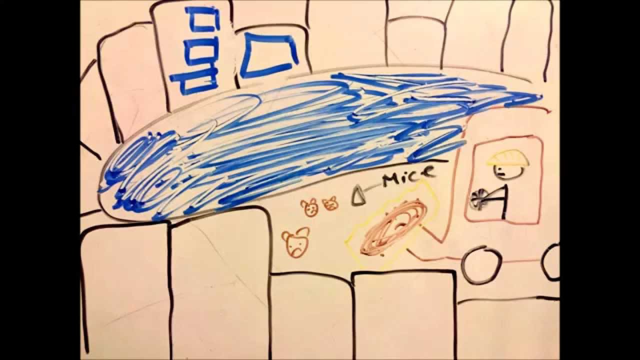 Save The Salt Marsh Harvest Mice!