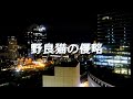 【アレンジ音源】野良猫の侵略/岩見陸 　歌ってみた【しいれん】