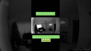 #furmommy #mygirl #ringcam
