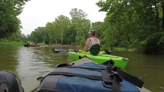 Floating The Saline River