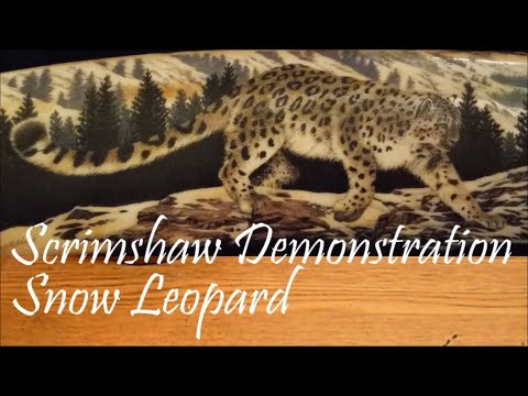 Scrimshaw Demonstration by Adams - Snow Leopard