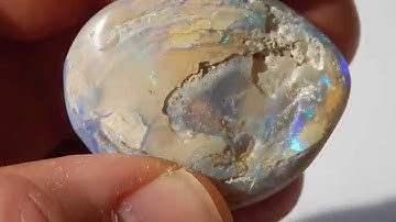 opalisierte fossile Muschel + Opal + Lightning Ridge,Australien