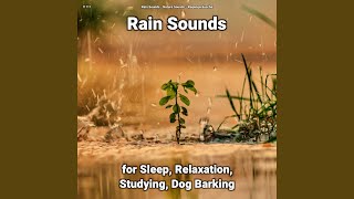 Rain Sounds for Joy