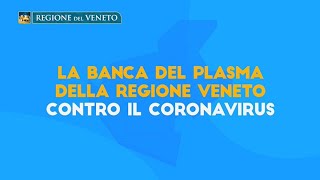 La Banca del plasma della Regione Veneto contro il coronavirus