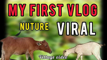 MY FIRST VLOG NUTURE VIRAL Village video