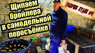 Забой бройлера и ощип в самодельной перосъемной машине / Рабочие будни №5