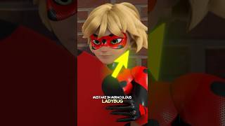 Did You Notice That In Reflekdoll?