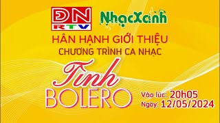 Trailer Tinh Bolero đặc sắc phát sóng ngày Chủ nhật 12/05/2024 trên Đài truyền hình Đồng Nai