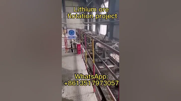 Lithium Ore Flotation