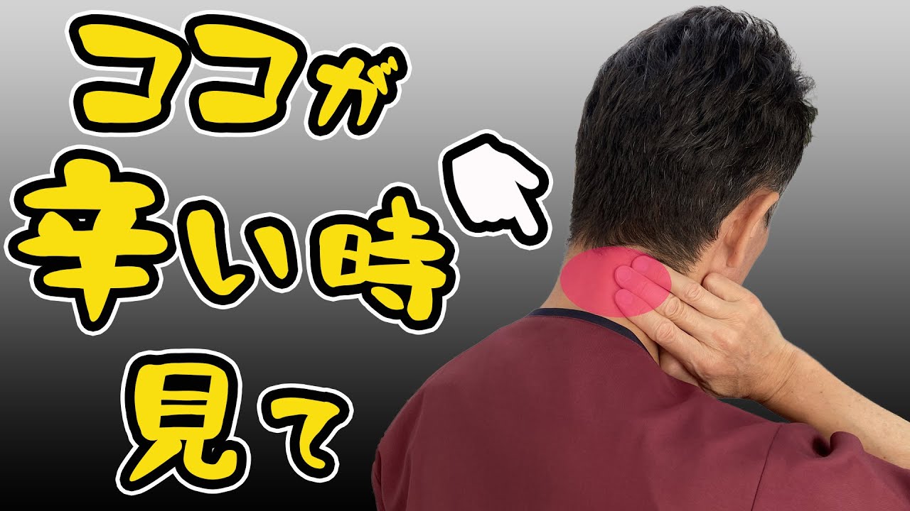 自律神経の不調からのガチガチ首こり解消法【のむら整骨院 大阪】