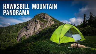 What a view / Hawksbill Mountain