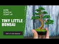 I Made a Cute Mini Bonsai from Aluminum Wire (Wire Bonsai Diary #1) Tutorial Bonsai Pohon Kawat