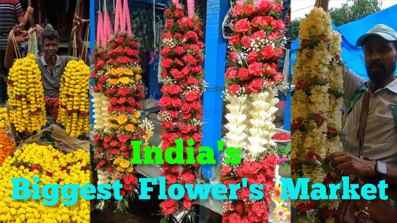 Asia's Biggest Flower Market Kolkata Flower Wholesale Market 🌻🌼🌻