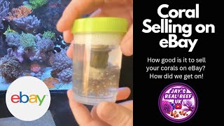 1st time using eBay to sell a coral - How did we get on? 😬 by Jay's Real Reef UK 1,413 views 6 months ago 10 minutes, 42 seconds