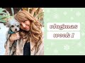 VLOGMAS WEEK 1: Getting a New Foster Dog!