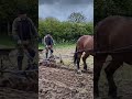 Horse Ploughing the Farm 🌾🐎 Traditional Village Farming