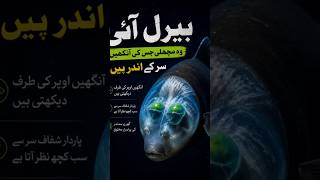 😱 شیشے کے سر والی مچھلی! | Barreleye Fish