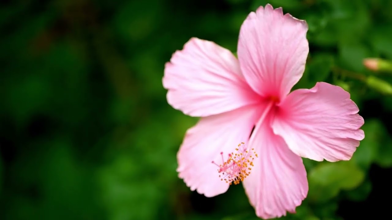 Nem az idegenektől félünk a legjobban – hanem attól, hogy túl későn ismerjük fel az ismerőst