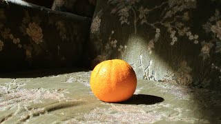 홈 비디오 screenshot 5