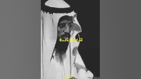 تلآوه نادره |القارئ الشيخ أبو بكر الشاطري 🌷