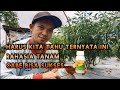 TERBUKTI AMPUH Bahan Insektisida Untuk Mengendalikan hama Ulat Pada Tanaman Cabe