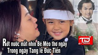 Rớt nước mắt nhìn Bé Mèo ngây thơ trong ngày Tang lễ Đức Tiến - Tâm tư Trầm Hương Nguyễn