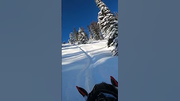 Polaris 850 163” VS ArticCat Alpha M8000 154”