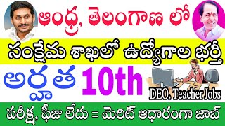 మంచి అవకాశం | Latest AP, TS Job recruitment in Telugu Free Job Alert Telugu Job Point Anganwadi Jobs